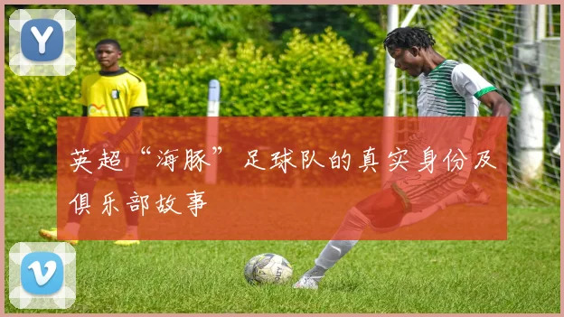 英超“海豚”足球队的真实身份及俱乐部故事