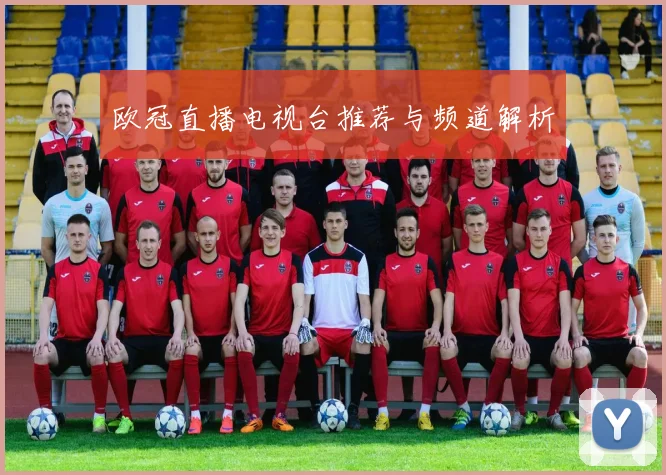 欧冠直播电视台推荐与频道解析