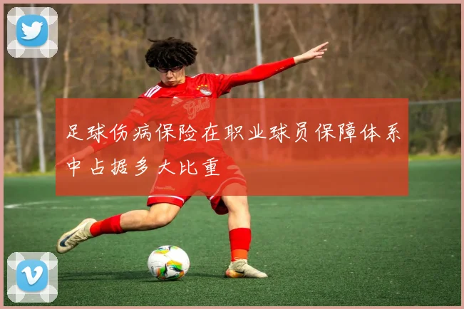足球伤病保险在职业球员保障体系中占据多大比重